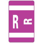 This rectangular card features a Smead AlphaZ ACCS Color-Coded Alphabetic Label (67188) with a purple background, two white horizontal bars, a large white R on the left, and a smaller partially inverted R on the right.