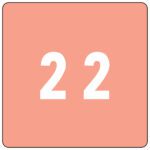 The image shows the number 22 in white on a salmon pink, square background with rounded corners, echoing the style of Smead DCC Color-Coded Numeric Labels (Product 67422), known for their distinct numeral and color design.