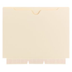 A plain manila letter-size file folder with three bottom edge tab dividers pairs well with the Smead Self-Adhesive Jacket, Manila, Letter Size for enhanced organization.