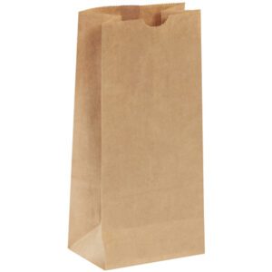 The 5 1/4 x 3 7/16 x 10 15/16 Kraft Hardware Bags (400/Bundle) are made from textured, natural-colored kraft paper. They feature a rectangular base and open top, making them ideal for groceries or lunches against an unobtrusive white background.