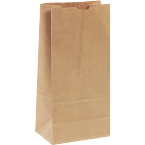 A plain brown paper bag from the 6 5/16 x 4 1/8 x 13 3/8 Kraft Hardware Bags (400/Bundle) collection stands upright against a white background. With neatly folded top edges, it exudes simplicity and functionality.