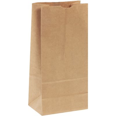BGH127K.jpg A plain brown paper bag from the 6 5/16 x 4 1/8 x 13 3/8 Kraft Hardware Bags (400/Bundle) collection stands upright against a white background. With neatly folded top edges, it exudes simplicity and functionality.