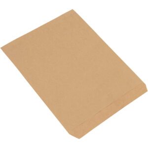 Displayed is a plain brown envelope similar to the 12 x 15 Kraft Flat Merchandise Bags, lying flap-side down on a surface. Ideal for mailing or storing documents, these sturdy bags are available in cases of 1000.