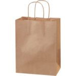 The 8 x 4 1/2 x 10 1/4 Kraft Paper Shopping Bags (250/Case) are plain brown with twisted handles, offering a rustic charm perfect for any occasion. These upright bags are versatile and available in bulk.