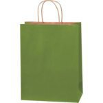 The MH-USA 10 x 5 x 13 Green Tea Tinted Shopping Bags, featuring a plain green design and sturdy brown handles, are perfect for various uses. Available in cases of 250, they blend style with practicality.