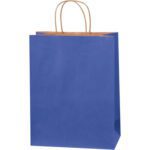 The MH-USA 10 x 5 x 13 Parade Blue Tinted Shopping Bag with brown twisted handles is displayed elegantly against a plain white background.