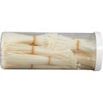 The MH-USA Cable Tie Kit - Assorted Natural (1000/Kit) is stored in a clear plastic container with a white lid, featuring organized zip ties complemented by rubber bands for versatile use and easy access.