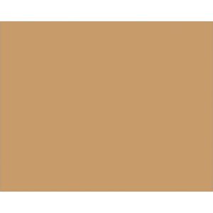 An 8 x 10 Kraft Block Out Label, matching the color of cardboard or light brown, fills the entire image. Product: 8 x 10 - Kraft Block Out Labels (250/Roll).