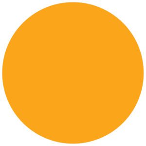 A solid orange circle on a plain white background, reminiscent of the MH-USA 1 1/2 Circles - Fluorescent Orange Removable Labels available in rolls of 500.