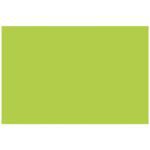 The image is entirely covered by a vivid lime green rectangle, similar to the MH-USA 2 x 3 fluorescent green removable rectangle labels (500/roll).