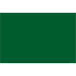 The image showcases a solid dark green rectangle, reminiscent of the MH-USA 2 x 3 Green Inventory Rectangle Labels, with its rich hue filling the entire space.