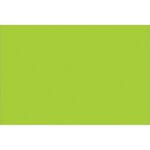 The item is a solid lime green rectangle, similar to MH-USA 2 x 3 Fluorescent Green Inventory Rectangle Labels (500/Roll), lacking additional features or patterns.
