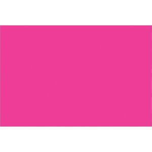 A solid bright pink rectangle reminiscent of MH-USA 2 x 3 Fluorescent Pink Inventory Rectangle Labels, ideal for standing out without extra features.