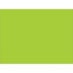 A solid, vibrant green square fills the frame, similar to MH-USAs 3 x 4 Fluorescent Green Inventory Labels (500/Roll).