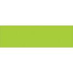 A lime green banner, like MH-USA 3 x 10 Fluorescent Green Inventory Rectangle Labels (250/Roll), stands out on a crisp white background.