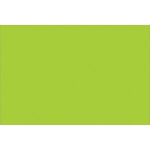 A vibrant fluorescent green rectangle, like the MH-USA 4 x 6 Fluorescent Green Inventory Rectangle Labels (500/Roll), stands out brilliantly against a crisp white background.