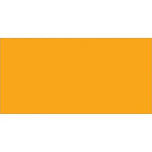 A vibrant fluorescent orange solid rectangle like the MH-USA 2 x 4 Inventory Rectangle Labels (500/Roll).