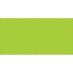 A solid bright green rectangle similar to MH-USAs 2 x 4 Fluorescent Green Inventory Rectangle Labels (500/Roll), offers a vivid backdrop with no extra features or text.