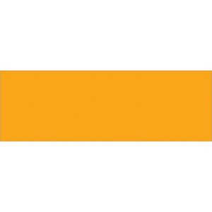 The image features a solid orange rectangle similar to the bright hue of MH-USA 3 x 9 Fluorescent Orange Inventory Rectangle Labels (250/Roll).