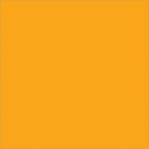 A solid orange square with no patterns, similar to the striking color of MH-USAs 4 x 4 Fluorescent Orange Inventory Rectangle Labels.