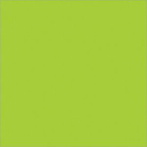 The image showcases a vibrant lime green square, echoing the bold hue of MH-USA 4 x 4 Fluorescent Green Inventory Rectangle Labels (500/Roll), filling the entire space.