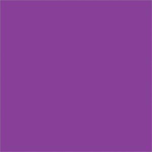 A solid 4 x 4 purple square reminiscent of the striking, minimalist MH-USA 4 x 4 Purple Inventory Rectangle Labels (500/Roll), featuring a clean design without additional elements.