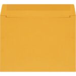 A plain, closed manila envelope on a white background suggests the practicality of 12 x 9 Kraft Self-Seal Envelopes (500/Case).