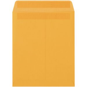 The 10 x 13 Kraft Redi-Seal Envelope in brown, part of the 500/case package, features a sealed flap for reliable and convenient mailing.