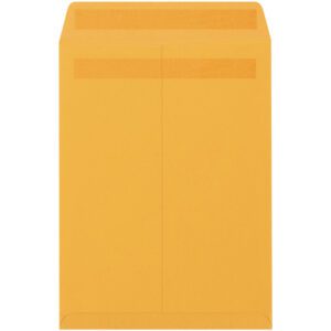 A large brown manila envelope, identified as a 10 x 15 Kraft Redi-Seal Envelope from a pack of 250, stands upright with the flap side forward, ideal for mailing documents.