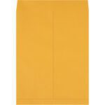 The image displays a large, closed 17 x 22 Kraft Jumbo Envelope set against a white background. The brown envelopes flap is at the top, free of markings or labels, ideal for storing important documents. These come in a case of 100.