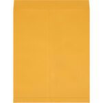 A plain 22 x 27 Kraft Jumbo Envelope from the set of 100 is shown on a white background. The flap at the top is open, and there are no markings or labels, emphasizing its simplicity.