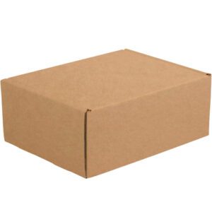 A plain, closed cardboard box is shown against a white background. Its slightly oblong shape suggests its an 11 1/8 x 8 3/4 x 5 Kraft Deluxe Literature Mailer in light brown, ideal for secure packaging and sold in bundles of fifty.