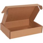 The 15 1/8 x 11 1/8 x 3 Kraft Deluxe Literature Mailer is a brown, rectangular cardboard box with four side flaps on the lid for secure closure, shown empty against a plain white background.