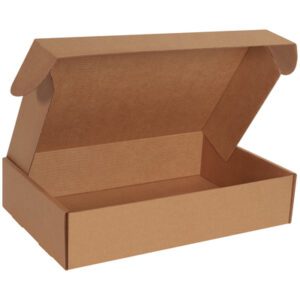 The 17 1/8 x 11 1/8 x 4 Kraft Deluxe Literature Mailer (50/Bundle) is an open brown cardboard box with side flaps and an upright lid, designed with a corrugated texture and spacious interior, perfect for packaging or storage.