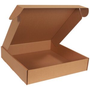 The open 20 x 20 x 4 cardboard pizza box, resembling the design of Kraft Deluxe Literature Mailers (25/Bundle), crafted from brown corrugated material, reveals its empty interior, perfect for takeout or delivery.
