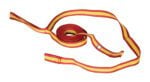 A red and yellow striped fabric ribbon with metal grommets is partially unrolled into a zigzag, echoing the sturdy design of the Vestil Wheel Chock Strap Kit 15Ft Long.