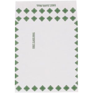 A 12 x 16 x 2 First Class Expandable Tyvek® Envelope with a white exterior and green diamond borders ensures your items arrive pristine.