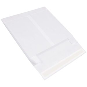 Tyvek Envelopes
