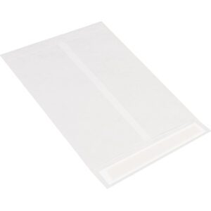 A transparent resealable plastic bag on a white background mirrors the functionality of 9 1/2 x 12 1/2 White Flat Tyvek® Envelopes (100/Case). The bag is empty with a subtle edge seam.