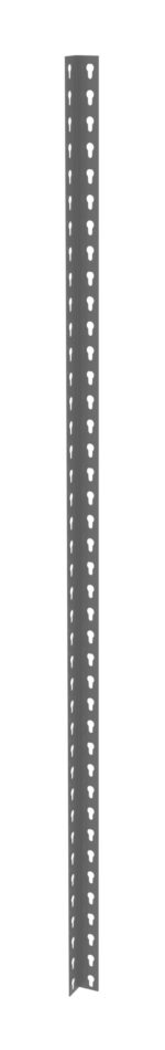 A black, vertical metal angle bracket with evenly spaced perforated holes along its length. The holes are circular, allowing for adjustable mounting or assembly. The bracket has a right-angle design, commonly used in construction or shelving.