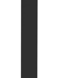 A thin, vertical black rectangle on a white background.
