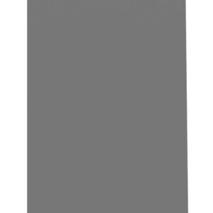 A large, empty, vertical gray rectangle on a white background.
