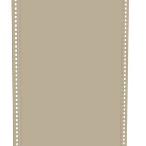 A beige, rectangular metal panel with perforated edges on both sides, standing upright against a white background.