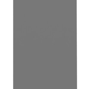 A tall, narrow, solid gray rectangular panel against a white background.