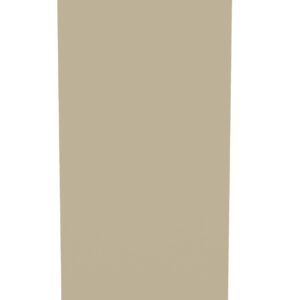 A tall, vertical, beige rectangular object standing upright against a white background.