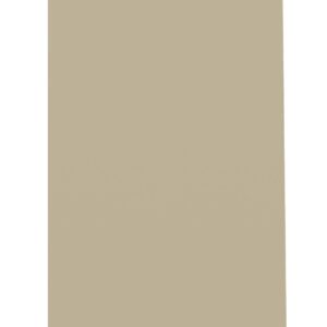 A tall, rectangular beige panel set against a white background.
