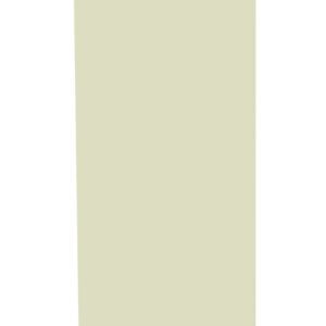 A tall, narrow rectangle filled with a light beige color, placed against a plain white background.