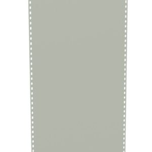 A vertical sheet of light gray dot matrix printer paper with perforated holes on the sides.