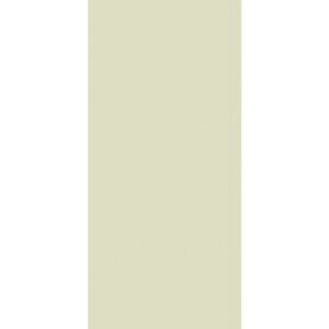 A tall, narrow, rectangular panel with a pale green color, standing upright against a white background.
