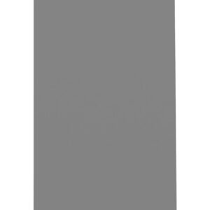 A vertical, solid gray rectangle on a white background, slightly tilted to the right.